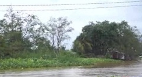 Cần Thơ: Vỡ đê cồn Sơn khi triều cường lên cao vượt mốc lịch sử