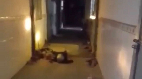 Cô gái tử vong tại hành lang nhà trọ ở TP.HCM, nghi phạm tử nạn cách đó 3km