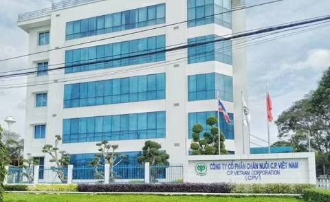 Công ty C.P. Việt Nam cùng 2 ông lớn ngành chăn nuôi sắp bị thanh tra