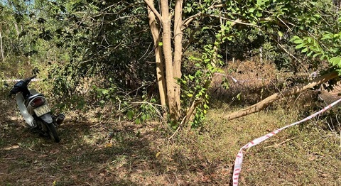 Điều tra vụ phát hiện người đàn ông tử vong trong khu rừng vắng