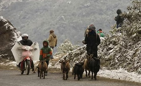 Giá rét khắp miền Bắc, vùng núi xuống dưới 3 độ C