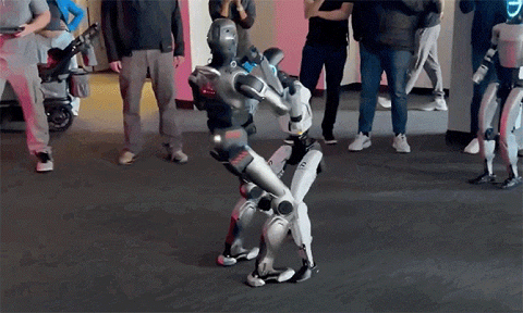Màn đấu võ của hai robot hình người gây sốt trên mạng