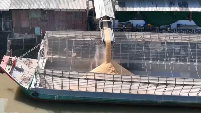 Cần Thơ xử phạt hai doanh nghiệp xay xát gạo gây ô nhiễm môi trường