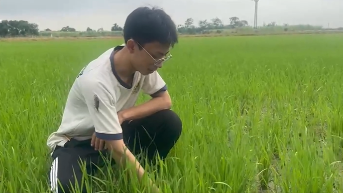 Cậu học trò xứ Thanh và nghị lực trở thành Á khoa tại kỳ thi tốt nghiệp THPT 2026