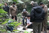 Xác nữ không đầu, không tay dưới lớp mùn cưa vạch mặt kẻ sát nhân bí ẩn