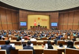 Việt Nam áp thuế tối thiểu toàn cầu từ năm 2024