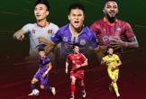 VPF gỡ hình ảnh đại diện của CLB Hoàng Anh Gia Lai trên website chính thức