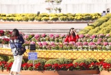 [Ảnh] Người dân diện đồ đẹp, đổ về Quảng trường Hồ Chí Minh ngày đầu xuân