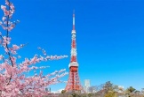 Tháp Tokyo ra mắt tour du lịch 'hút' khách quốc tế hạng sang