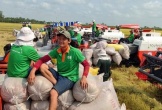 Chủ tịch Tập đoàn Lộc Trời xin lỗi nông dân vì “sự cố” nợ tiền lúa