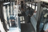 Khoảnh khắc kinh hoàng khi nai bị tông bay xuyên qua kính chắn gió xe buýt