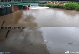 Khoảnh khắc khiến bao người 