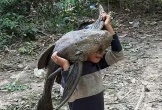 Bắt được 'quái vật' khổng lồ, bé trai gây sốc khi vác đi khắp làng