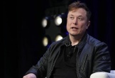 Elon Musk tuyên bố Tổng thống Ukraine đã 'giết một nhà báo Mỹ'