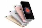 iPhone SE, iPhone 14 và 14 Plus bị khai tử