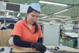Nâng cao năng lực chống chịu cho nền kinh tế trước các rủi ro 