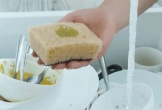 5 thứ thường thấy nhất trong nhà thực ra lại cực kỳ bẩn!