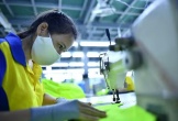 Lo ngại hàng ngoại đến Việt Nam 'rửa nguồn' để né thuế