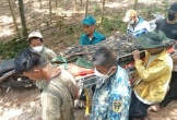Một người dân tử vong khi ngủ qua đêm trong rừng ở Quảng Bình