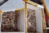 Phát hiện kho hàng tại Đà Nẵng chứa 3,5 tấn thịt, nội tạng bốc mùi đổi màu