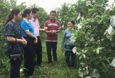 Gần 14.700 hộ nghèo, khó khăn được vay vốn phát triển kinh tế