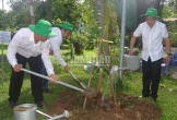 Cần Thơ phát động trồng cây và Chương trình 'Môi trường sạch-Cuộc sống xanh'