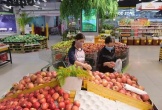 Đề xuất giảm bậc thuế thu nhập cá nhân từ 7 xuống 5, mức cao nhất là bao nhiêu?