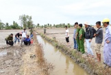 Mang kích điện đi bắt cá, vướng vào lưới điện diệt chuột tử vong