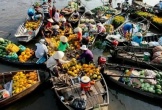 Cần Thơ đề xuất tạm dừng các cơ sở kinh doanh không đủ điều kiện ở chợ nổi Cái Răng