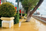Cần Thơ: Triều cường vượt mức báo động 3