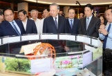 Phát biểu của Tổng Bí thư tại Hội nghị quán triệt 4 Nghị quyết của Bộ Chính trị