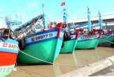 Cần Thơ đề xuất thành lập trạm kiểm ngư tại các khu vực trọng điểm