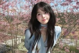 Danh tính hot girl đốn tim với bộ ảnh đẹp như mơ giữa rừng mai anh đào
