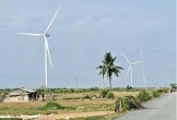 Nhiều doanh nghiệp muốn đầu tư hàng loạt dự án điện gió ở Cần Thơ
