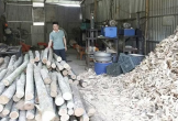 Trưởng thôn 8X đi đầu trong phát triển kinh tế