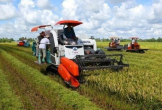 Cần Thơ tập trung vào ba khu vực kinh tế chủ lực