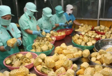 Bộ Công Thương đề nghị phổ biến tài liệu hướng dẫn sử dụng hệ thống CIFER