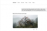 Chỉ cần gõ vài dòng trên Google, AI sẽ tự tạo hình ảnh miễn phí