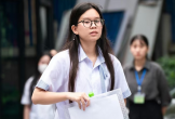 Loạt đại học phía bắc dự báo điểm chuẩn 2026