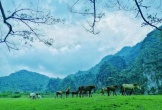Không phải Sa Pa, đây là nơi được ví như 