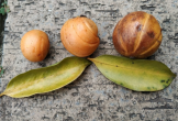 Tai chua có tác dụng gì mà được dân gian tin dùng?