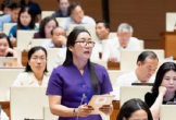 Đại biểu Quốc hội đồng tình quy định cấm kinh doanh bóng cười