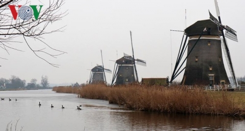 Mùa thu Hà Lan